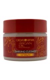 Creme of Nature Argan Oil Twirling Custard 11.5oz