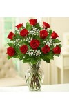 1 Dozen Roses Red Rose Elegance Premium