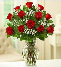 1 Dozen Roses Red Rose Elegance Premium