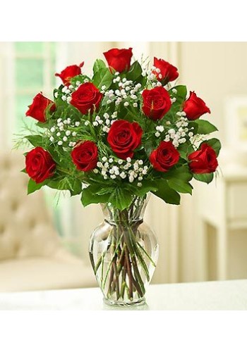 1 Dozen Roses Red Rose Elegance Premium