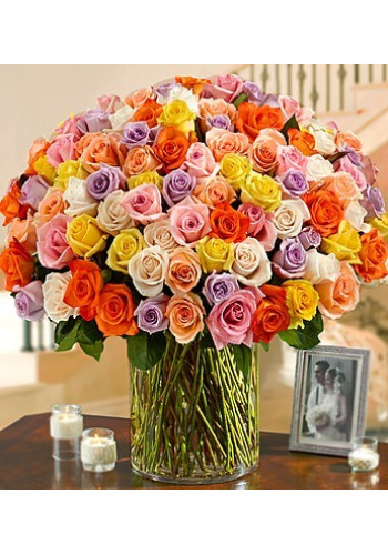100 Premium Long Stem Multicolored Roses in a Vase
