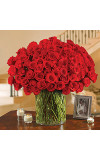 100 Premium Red Roses in a Vase
