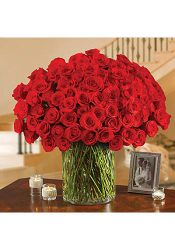 100 Premium Red Roses in a Vase