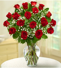 18 Stem Red Rose Elegance Premium Long Stem