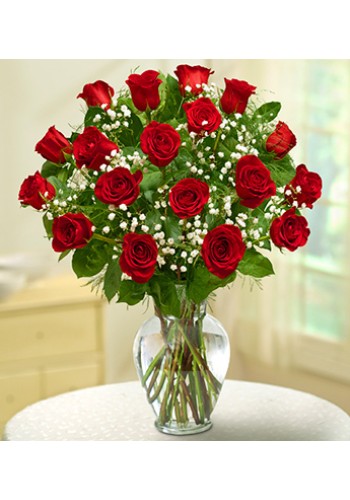 18 Stem Red Rose Elegance Premium Long Stem