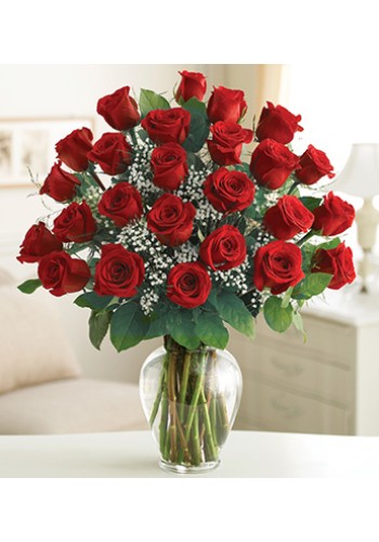 2 Dozen Red Rose Elegance Premium Dozen Roses
