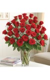 3 Dozen Red Roses Ultimate Elegance Premium Long Stem
