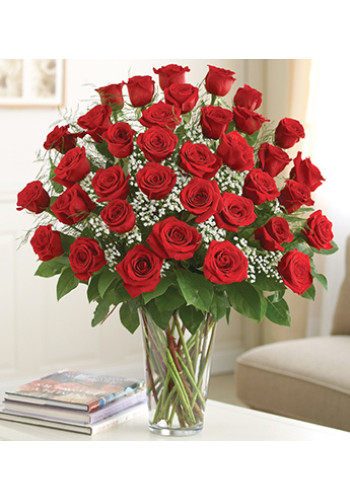 3 Dozen Red Roses Ultimate Elegance Premium Long Stem