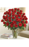 4 Dozen Red Roses Ultimate Elegance Premium Long Stem