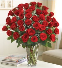 4 Dozen Red Roses Ultimate Elegance Premium Long Stem