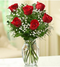 6 Stems Red Loveand039s Embrace Roses