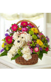 A-Dog-Able in a Basket