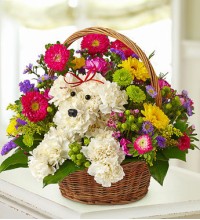 A-Dog-Able in a Basket