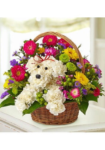 A-Dog-Able in a Basket