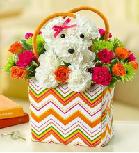 a-DOG-ableÂ® in a Tote