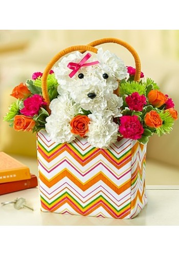 a-DOG-ableÂ® in a Tote