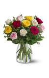 A Dozen Mixed Roses