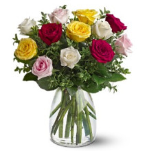 A Dozen Mixed Roses