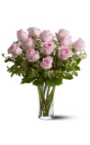 A Dozen Pink Roses