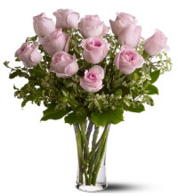 A Dozen Pink Roses