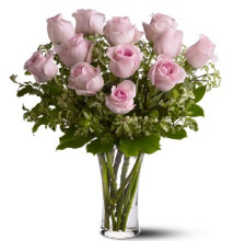 A Dozen Pink Roses