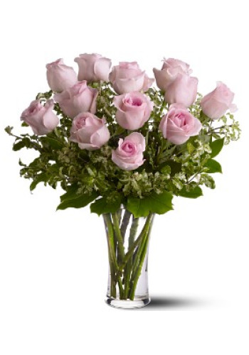 A Dozen Pink Roses