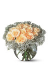 A Dozen White Roses