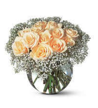 A Dozen White Roses