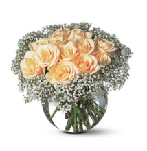 A Dozen White Roses