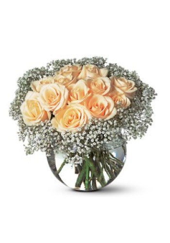 A Dozen White Roses