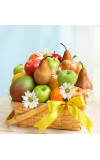 All Fruit Basket