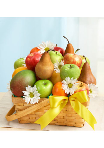 All Fruit Basket