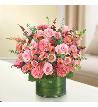 All Pink Cherished Memories