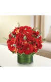 All Red Cherished Memories