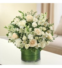 All White Cherished Memories