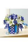 All Wrapped Upâ„¢ - Blue