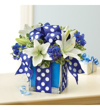 All Wrapped Upâ„¢ - Blue