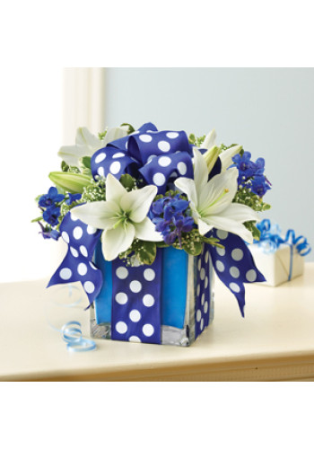 All Wrapped Upâ„¢ - Blue