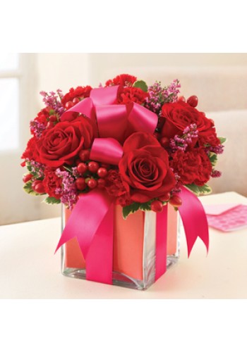 All Wrapped Upâ„¢ - Red