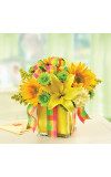 All Wrapped Upâ„¢ - Yellow