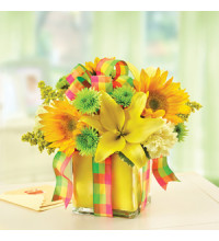 All Wrapped Upâ„¢ - Yellow