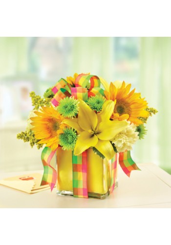 All Wrapped Upâ„¢ - Yellow