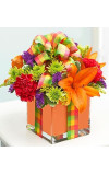 All Wrapped Upâ„¢