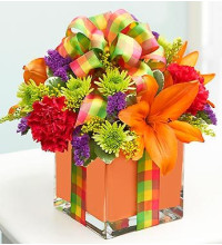All Wrapped Upâ„¢