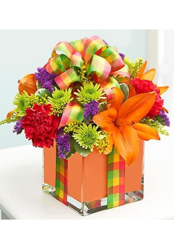 All Wrapped Upâ„¢