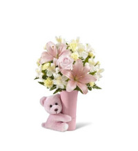 Baby Girl Big Hug Bouquet