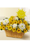 Basket of Sunshine