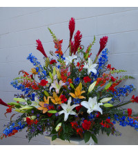 Beautiful Tribute