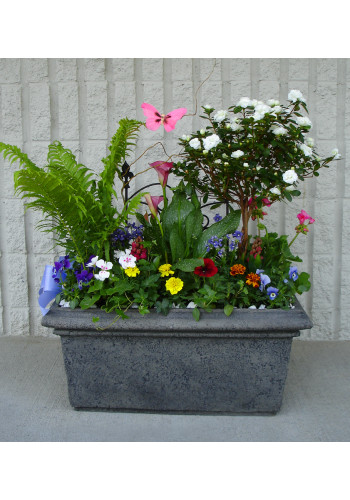 Blooming Delight