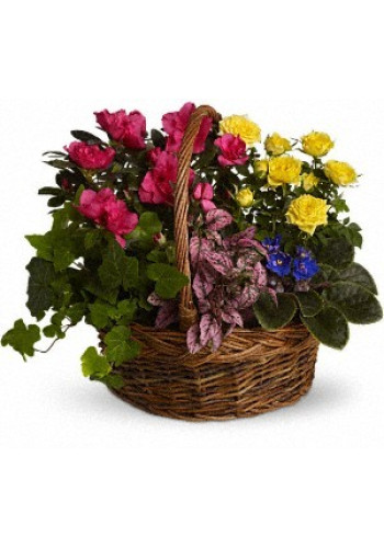 Blooming Garden Basket